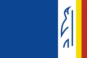 Bandera de Rozas de Madrid de alta calidad para exterior 123