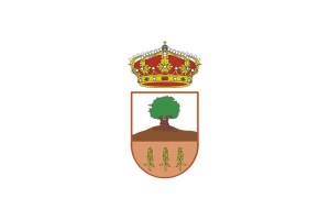 Bandera de Valdaracete de alta calidad para exterior 123