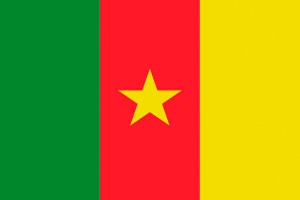 Bandera de Camerun con escudo de alta calidad para exterior 123