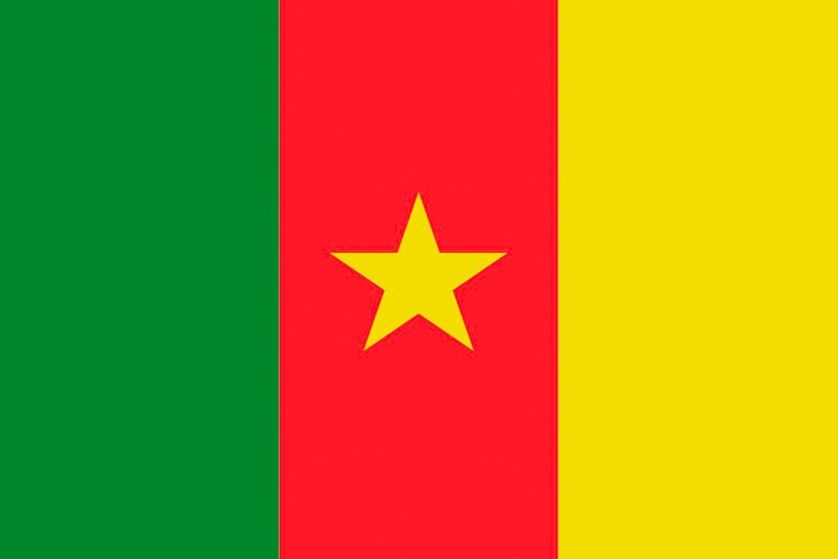 Bandera de Camerun con escudo de alta calidad para exterior Bandera de Camerun con escudo de alta calidad para exterior