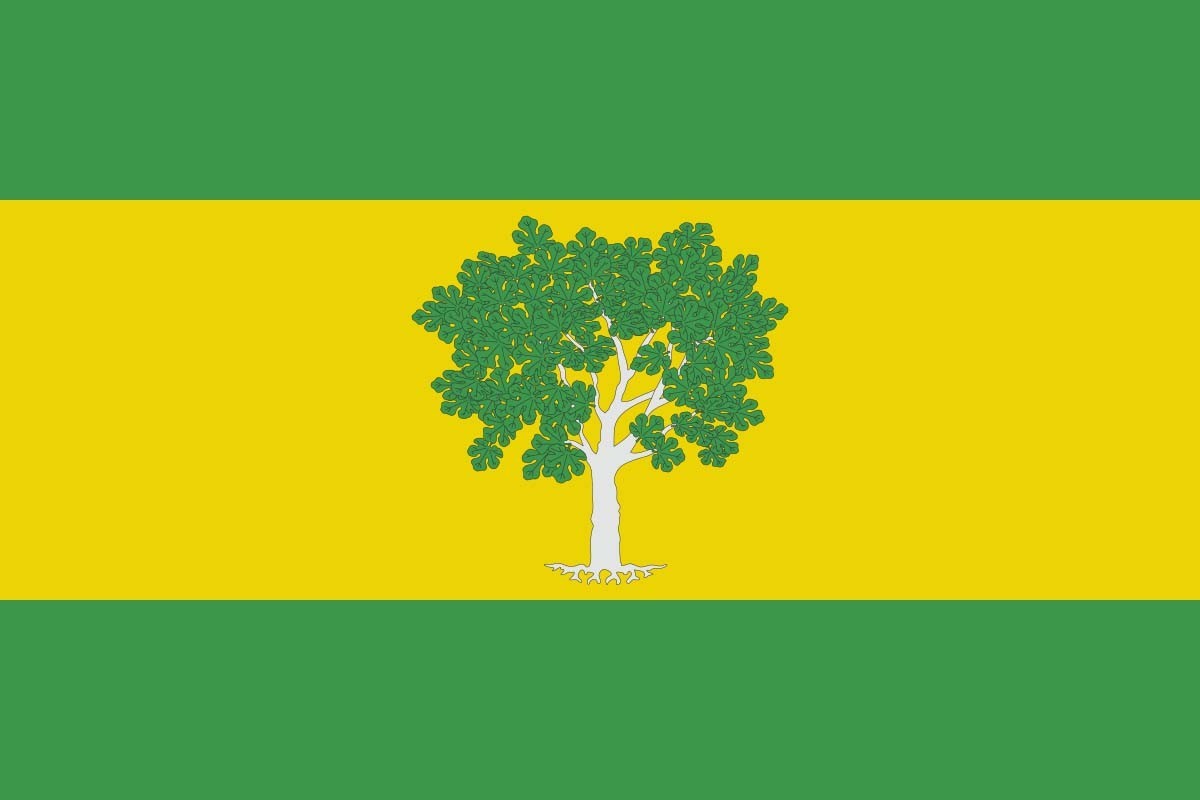 Bandera de Higueras de alta calidad para exterior | BPH