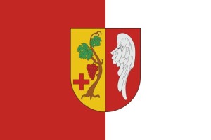 Bandera de Vinaròs de alta calidad para exterior | BPH 123