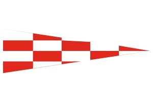 Gallardete especial Emergencia 123