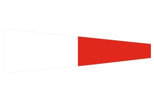 Gallardete especial Interrogativa 123