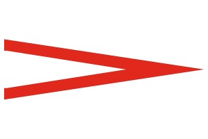 Gallardete especial Puesto 123