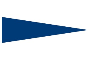 Gallardete especial Subdivisión 123