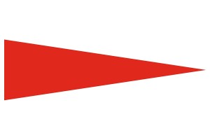 Gallardete especial Velocidad 123