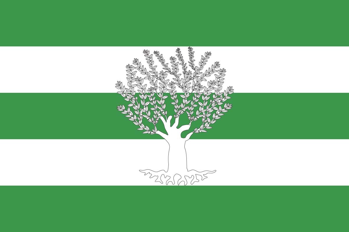 Bandera de Líjar de alta calidad para exterior | BPH