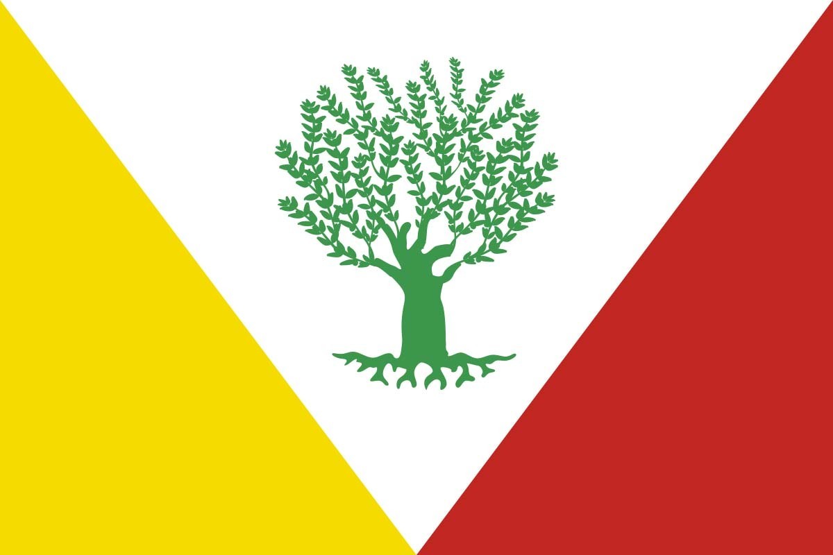 Bandera de Montejícar de alta calidad para exterior | BPH