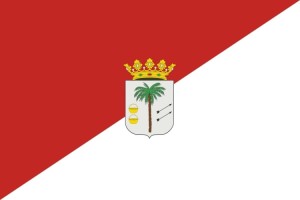 Bandera de Palma del Condado de alta calidad para exterior | BPH 123