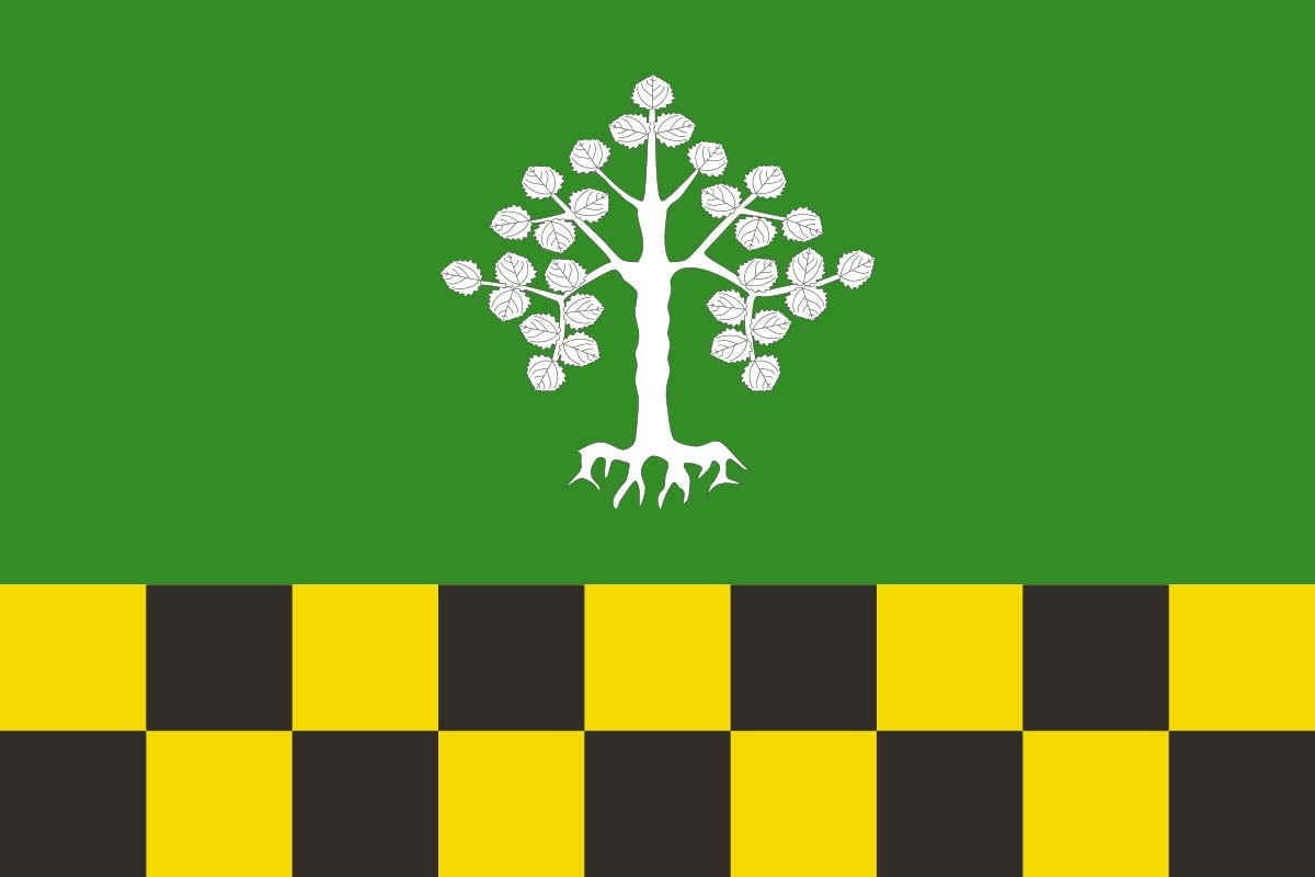 Bandera de Albesa de alta calidad para exterior | BPH