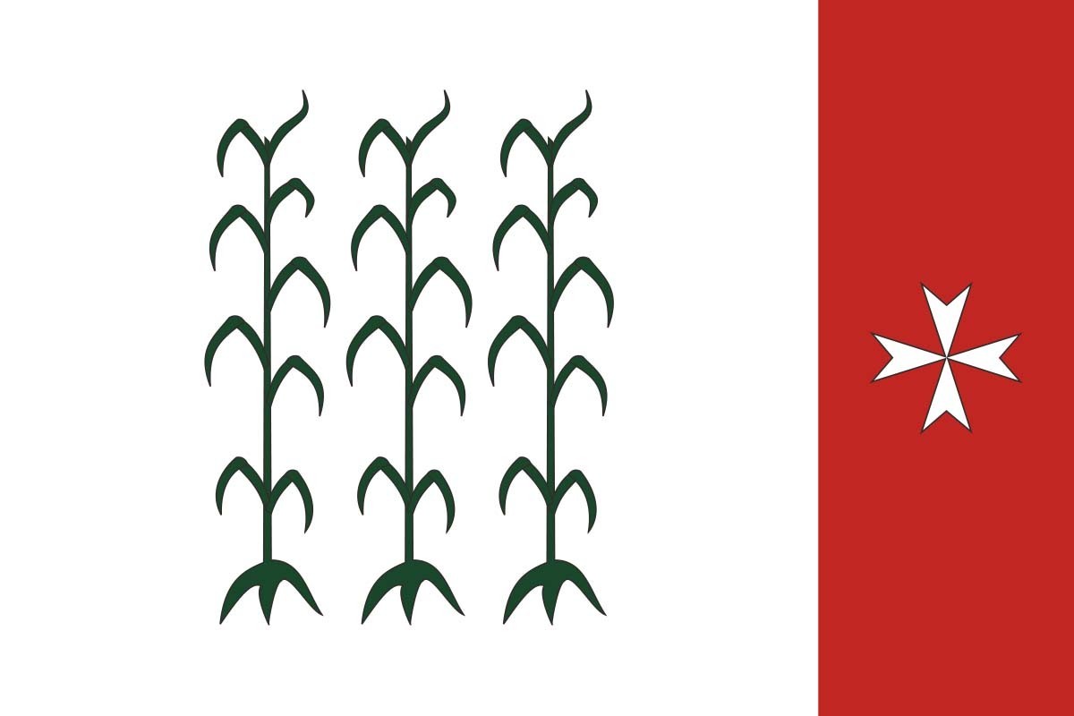 Bandera de Alcanar de alta calidad para exterior | BPH