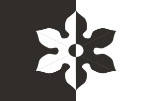 Bandera de Fígols de alta calidad para exterior | BPH 123