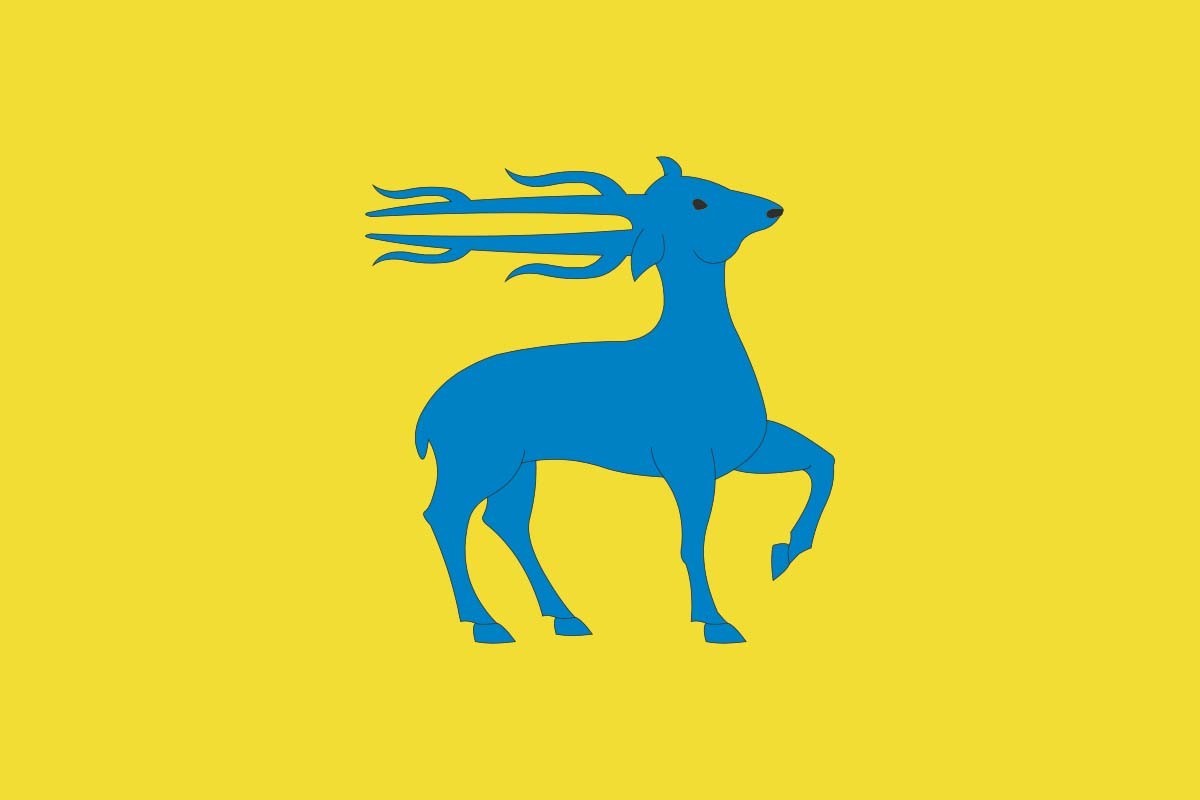 Bandera de Llacuna de alta calidad para exterior | BPH