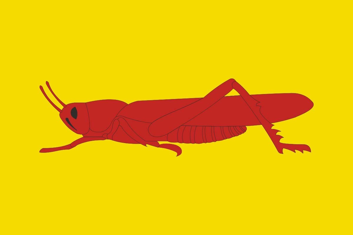 Bandera de Llagosta de alta calidad para exterior | BPH