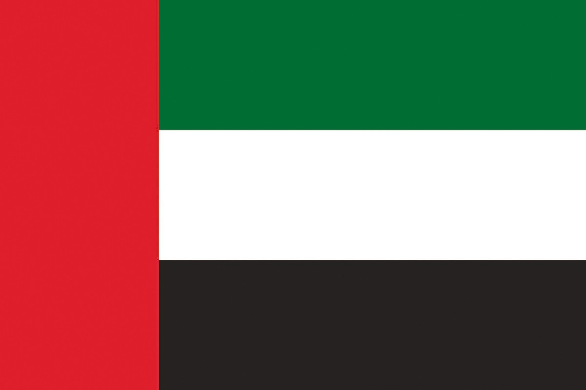 Bandera de Emiratos Arabes Unidos con escudo de alta calidad para exterior Bandera de Emiratos Arabes Unidos con escudo de alta calidad para exterior