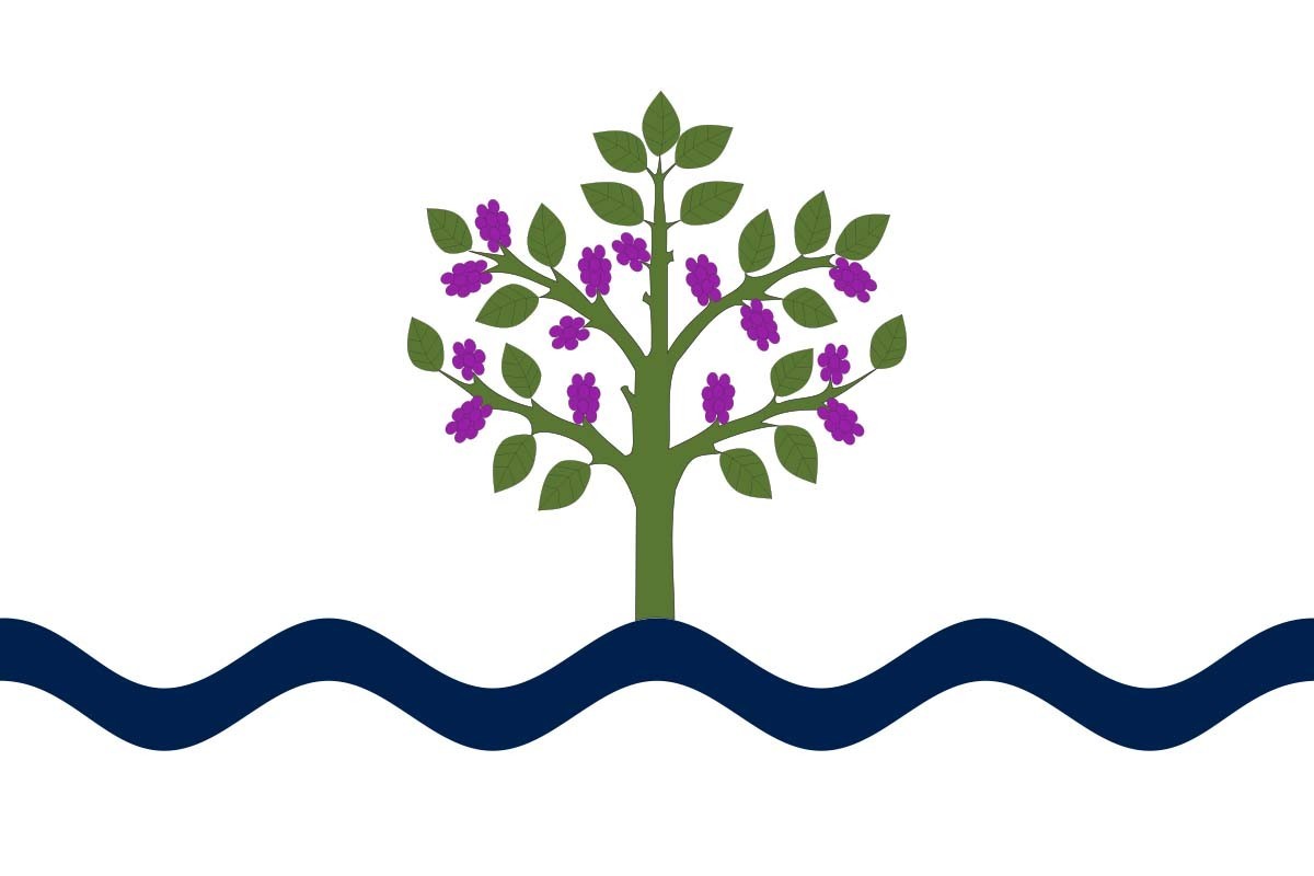 Bandera de Móra d'Ebre de alta calidad para exterior | BPH