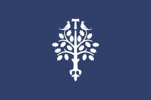 Bandera de Selva del Camp de alta calidad para exterior | BPH 123