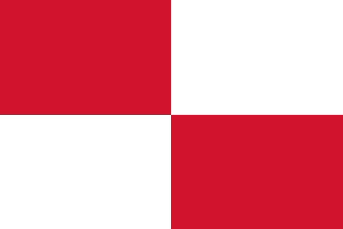 Bandera de Torre de l'Espanyol de alta calidad para exterior |