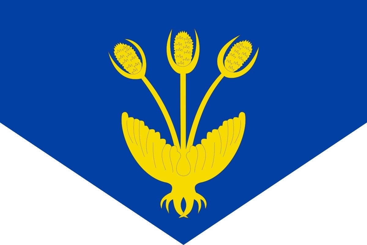 Bandera de Vall de Cardós de alta calidad para exterior | BPH