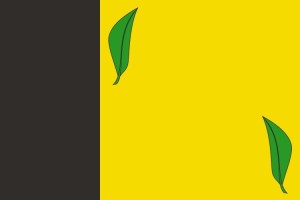 Bandera de Vandellòs i l'Hospitalet de l'Infant de alta calidad 123