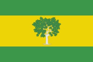 Bandera de despacho de Higueras de alta calidad | BPH