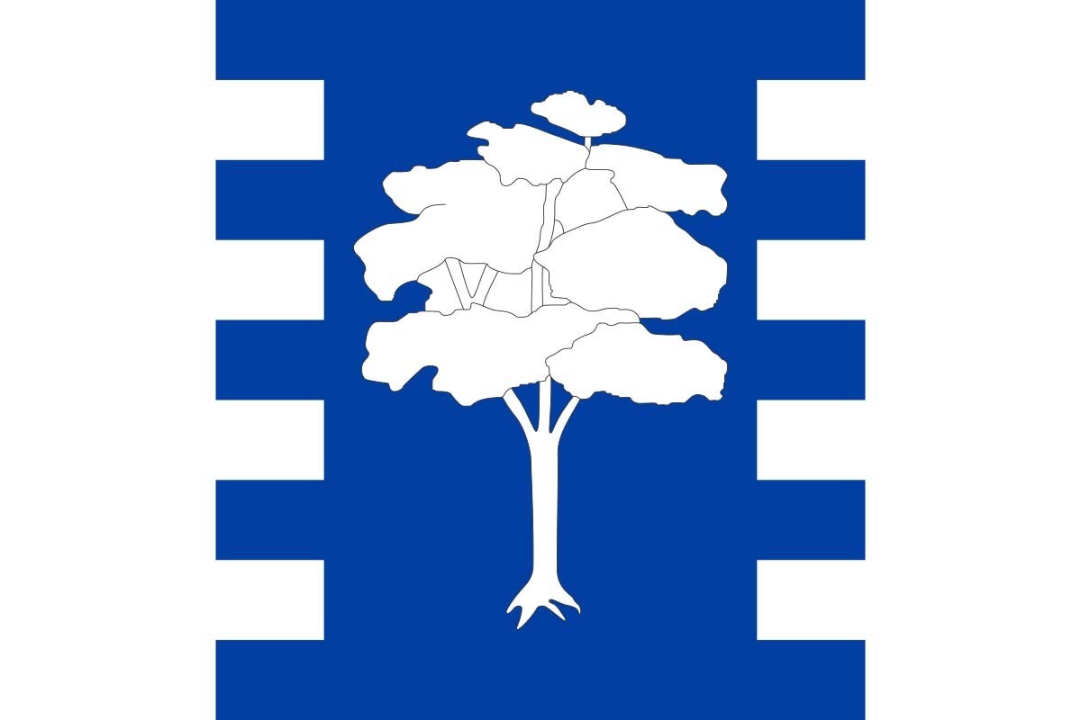 Bandera de despacho de Algarrobo de alta calidad | BPH Bandera de despacho de Algarrobo de alta calidad | BPH