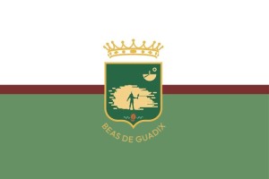 Bandera de despacho de Beas de Guadix de alta calidad | BPH Bandera de despacho de Beas de Guadix de alta calidad | BPH