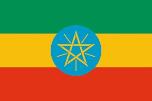 Bandera de Etiopia con escudo de alta calidad para exterior 123