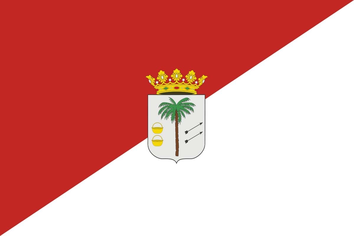 Bandera de despacho de Palma del Condado de alta calidad | BPH Bandera de despacho de Palma del Condado de alta calidad | BPH