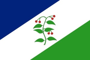 Bandera de despacho de Arbúcies de alta calidad | BPH Bandera de despacho de Arbúcies de alta calidad | BPH