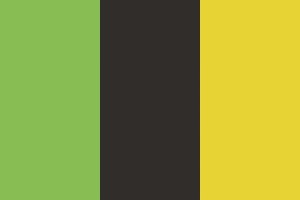 Bandera de despacho de Arsèguel de alta calidad | BPH