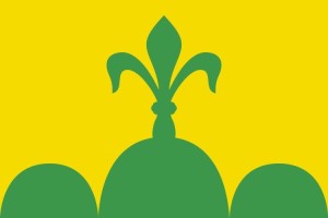 Bandera de despacho de Bellpuig de alta calidad | BPH