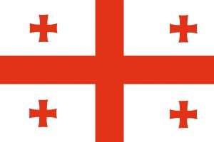 Bandera de Georgia con escudo de alta calidad para exterior 123
