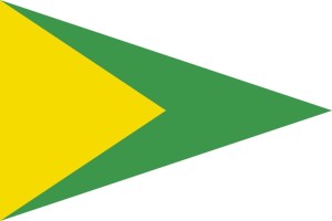 Bandera de despacho de Collsuspina de alta calidad | BPH