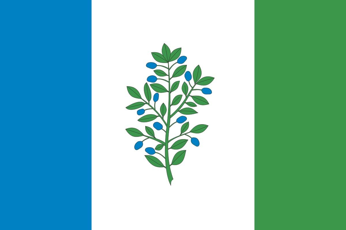 Bandera de despacho de Martorelles de alta calidad | BPH Bandera de despacho de Martorelles de alta calidad | BPH