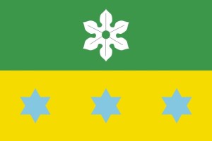 Bandera de despacho de Puiggròs de alta calidad | BPH