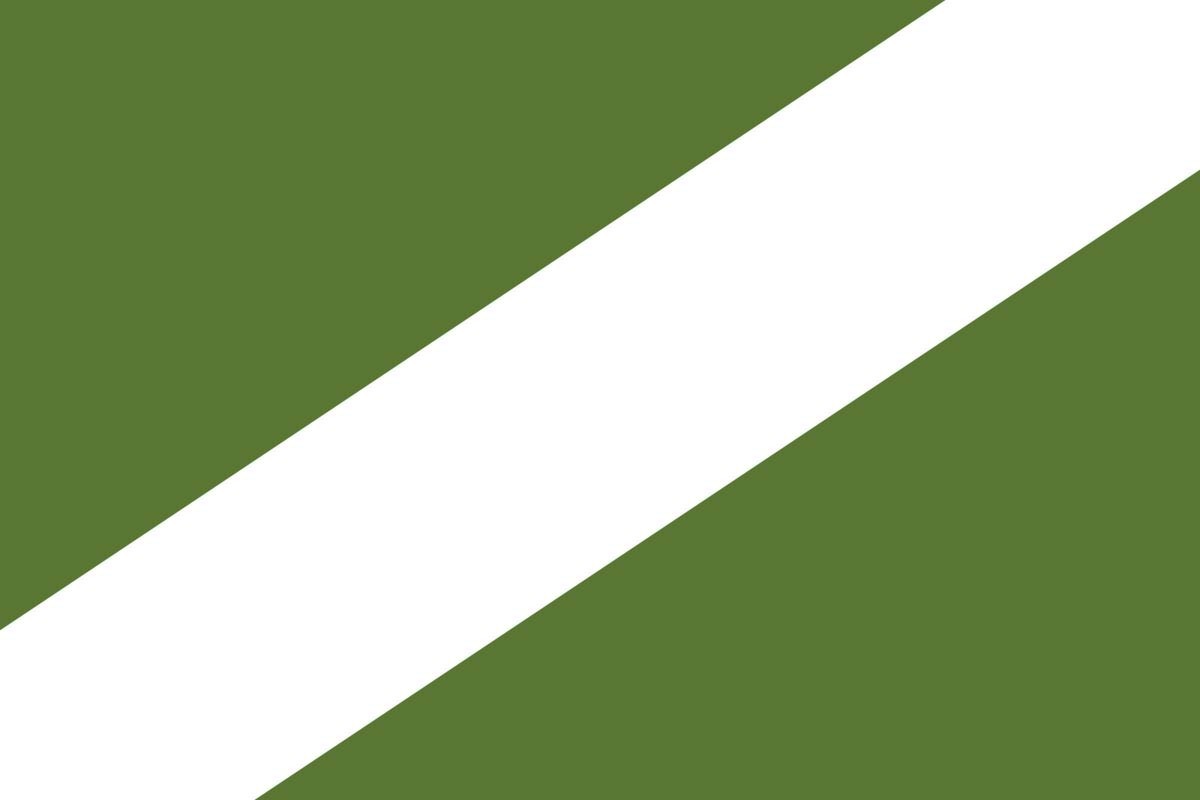 Bandera de despacho de Riells i Viabrea de alta calidad | BPH