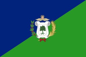 Bandera de despacho de Vendrell de alta calidad | BPH