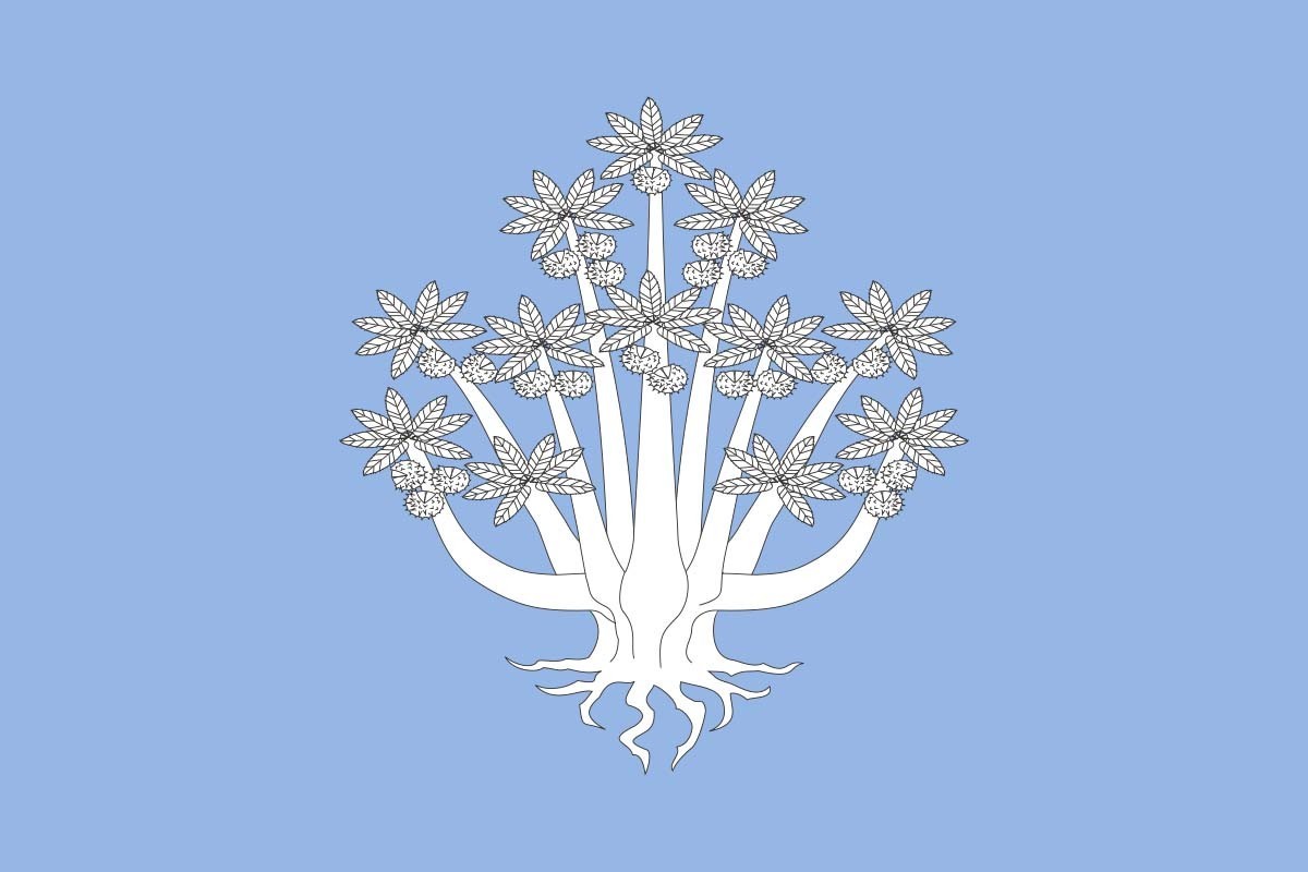 Bandera de despacho de Viladrau de alta calidad | BPH