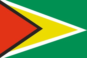 Bandera de Guayana con escudo de alta calidad para exterior 123