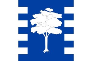 Bandera de mesa de Algarrobo | BPH