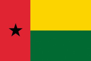 Bandera de Guinea Bissau de alta calidad para exterior 123