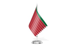 Bandera de mesa de Zamora sin escudo 123