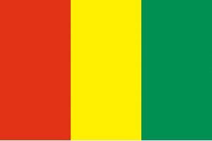 Bandera de Guinea de alta calidad para exterior 123