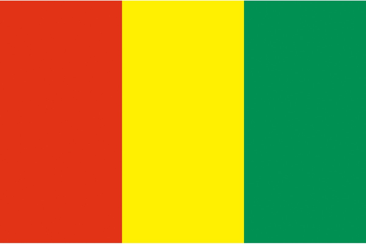 Bandera de Guinea de alta calidad para exterior Bandera de Guinea de alta calidad para exterior