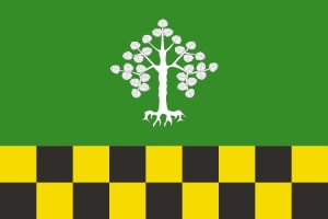 Bandera de mesa de Albesa | BPH