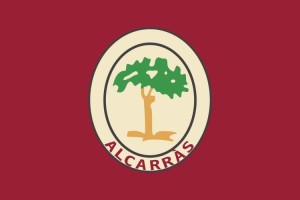 Bandera de mesa de Alcarràs | BPH