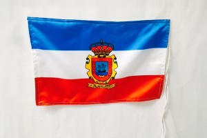 Cortina de inauguración personalizada 123