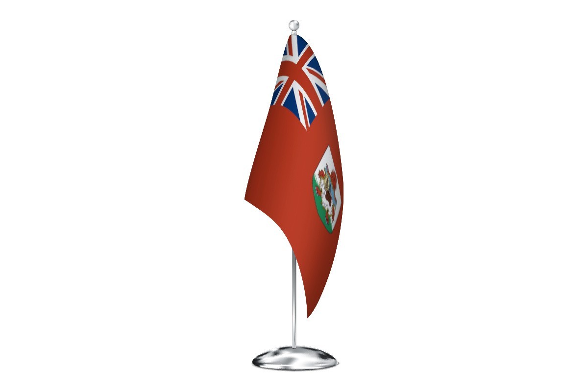 Bandera de despacho de Bermudas de alta calidad